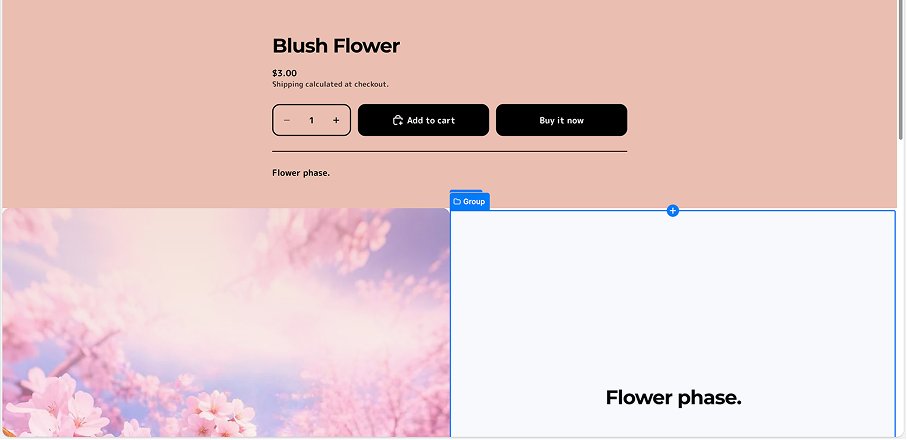 Product page before — empty placeholder blocks